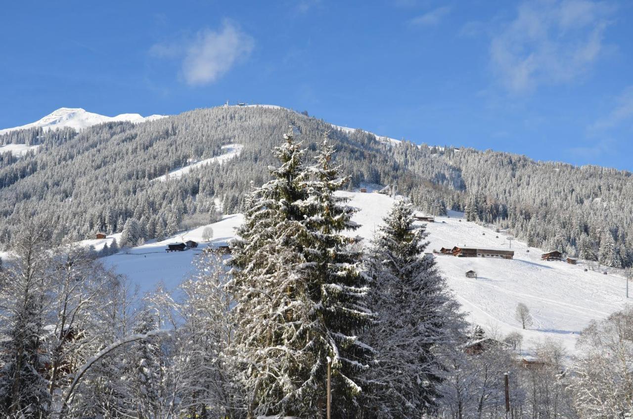 Apartmán Haus Am Sunnfeld Alpbach Exteriér fotografie